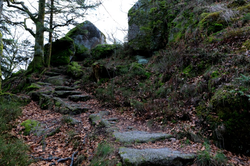 Falkenfelsen 2020-03-14 39