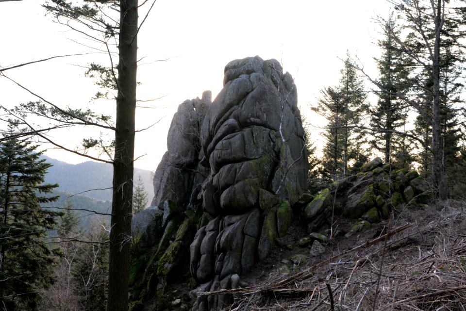 Falkenfelsen 2020-03-14 34