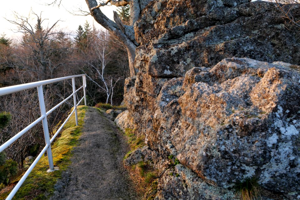 Falkenfelsen 2020-03-14 49