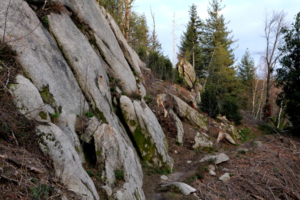 Falkenfelsen 2020-03-14 23