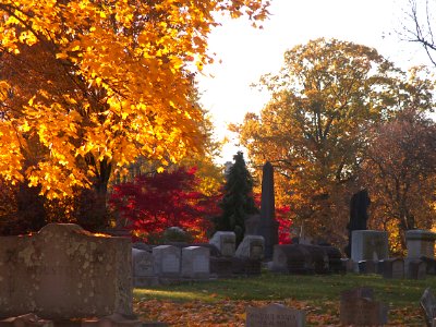 Fall landscape, Homewood Cemetery, 2020-11-08, 01