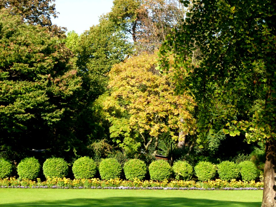 Fall in the Jardin du Luxembourg