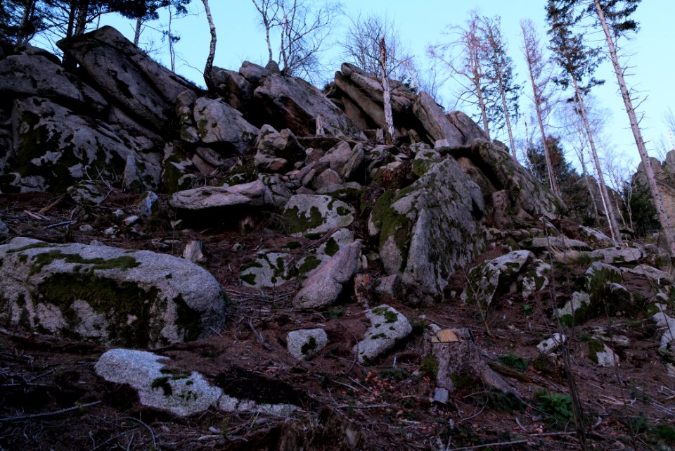 Falkenfelsen 2020-03-14 53