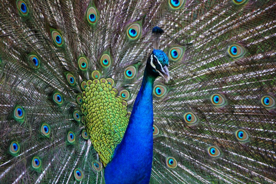 Colorful nature color