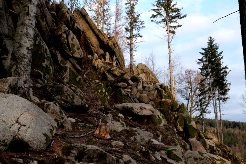 Falkenfelsen 2020-03-14 36