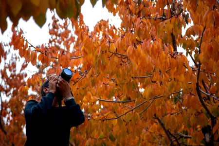 Fall In Qom Province-Qahan village-Autumn عکس های پاییز در استان قم - بخش های کهک - قاهان - کرمجگان - روستای انجیله - وصف - وشنوه 05