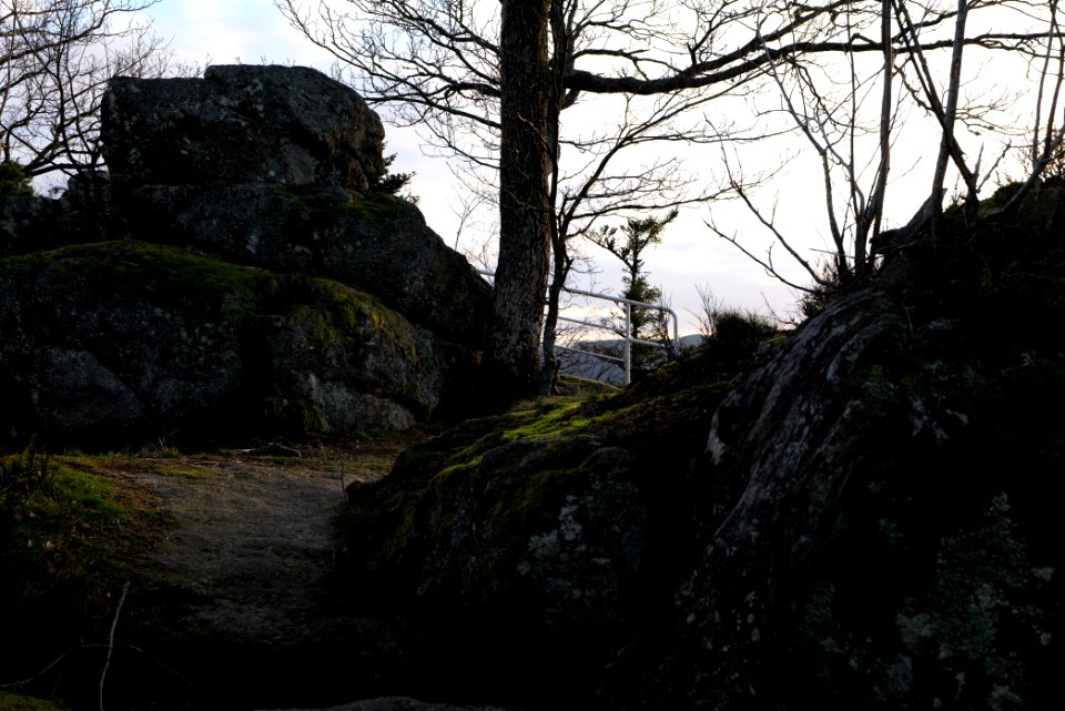 Falkenfelsen 2020-03-14 43