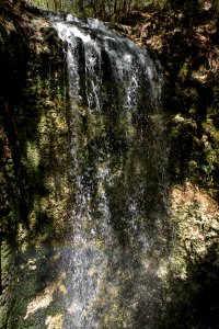 Falling Waters State Park 1