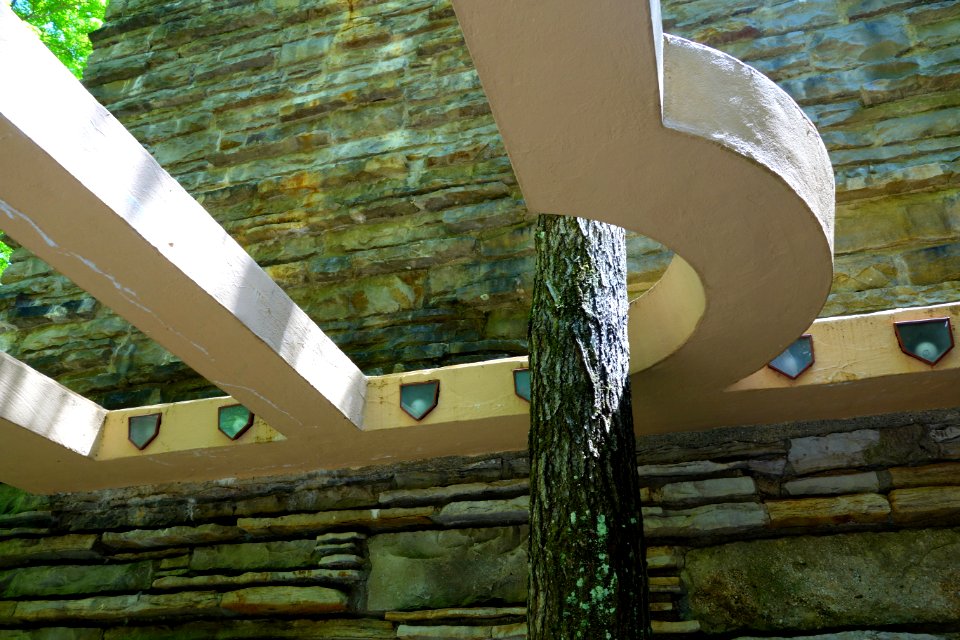 Fallingwater detail - DSC05656
