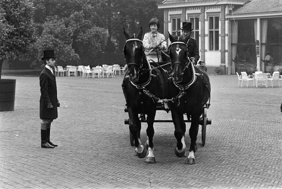Familie Van Vollenhoven rond Paleis Het Loo, Bestanddeelnr 929-7454