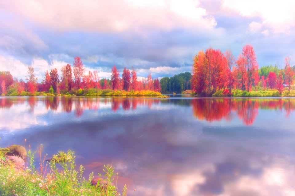 Fall In Potsdam Ny (237989675)