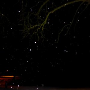 Fallender Schnee Leuchtpunkte