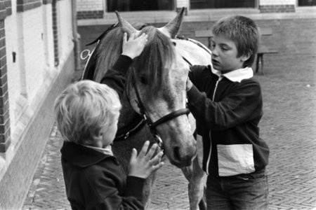 Familie Van Vollenhoven rond Paleis Het Loo, Bestanddeelnr 929-7459