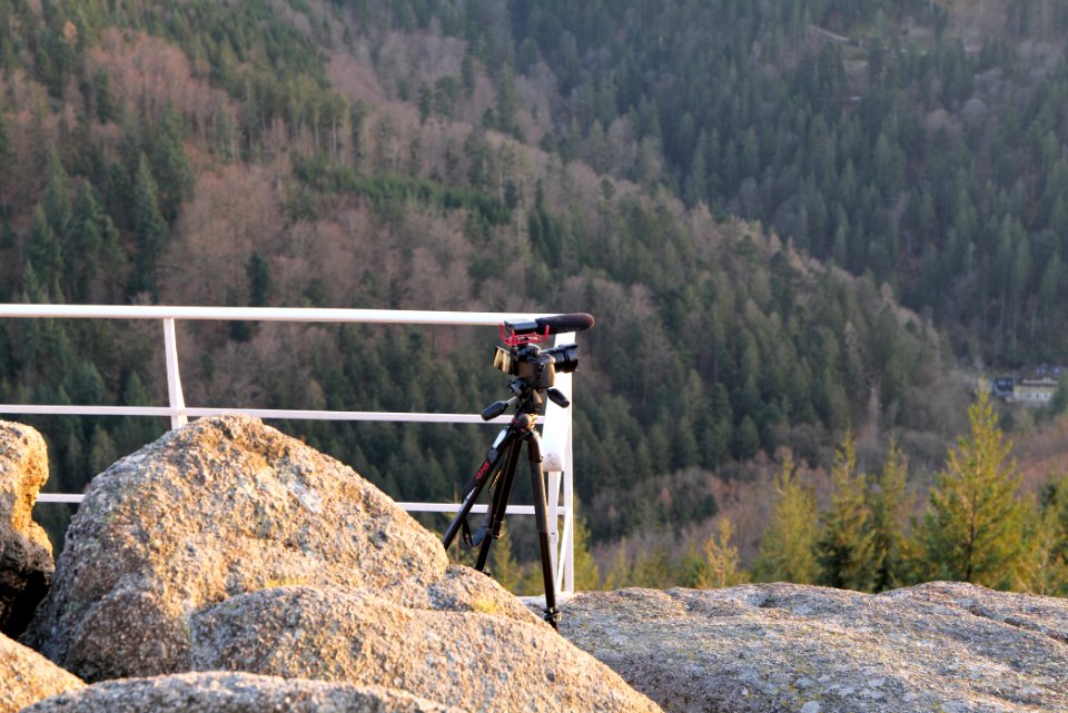 Falkenfelsen 2020-03-14 47