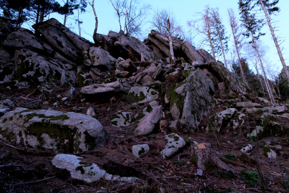Falkenfelsen 2020-03-14 52