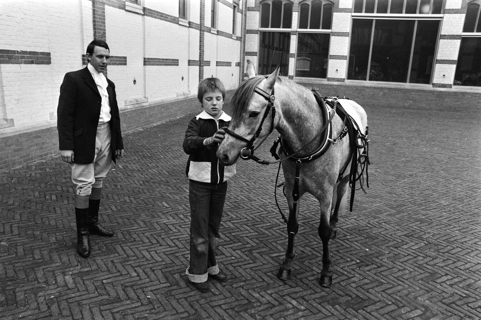 Familie Van Vollenhoven rond Paleis Het Loo, Bestanddeelnr 929-7455