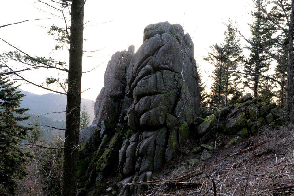 Falkenfelsen 2020-03-14 33