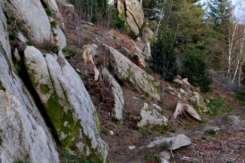 Falkenfelsen 2020-03-14 25