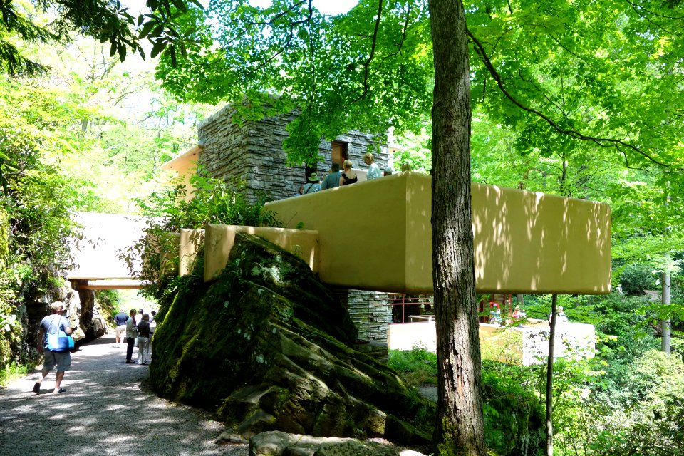Fallingwater - DSC05648