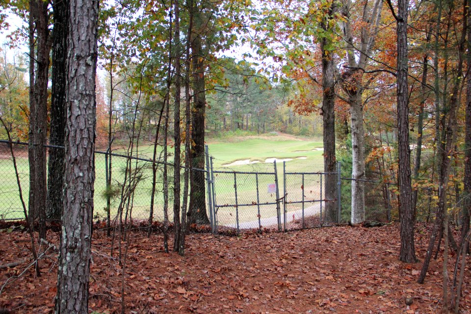 Fairway at Standard Club, Johns Creek, GA Nov 2017