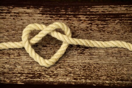 Love friendship connectedness