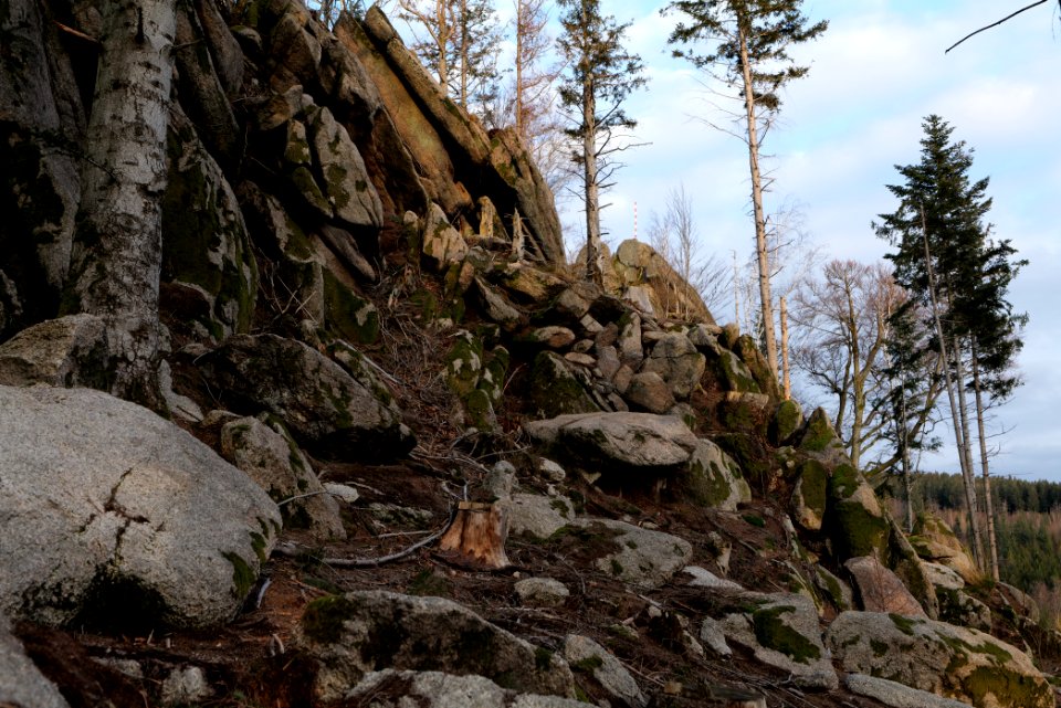 Falkenfelsen 2020-03-14 37