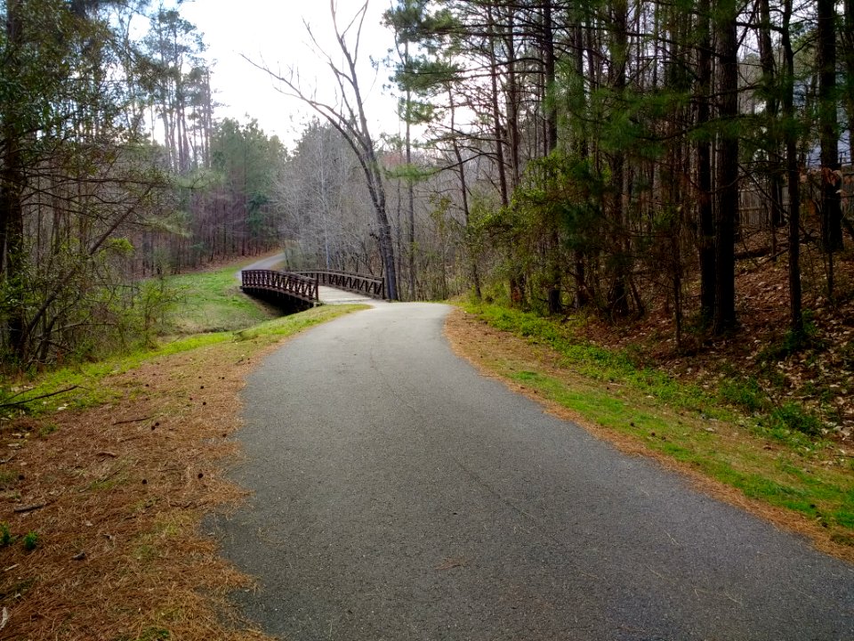 Fan Branch Trail 2