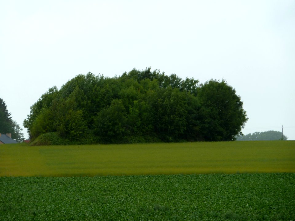 Faimes-Tumulus van Aineffe (1)