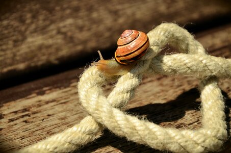 Love friendship connectedness