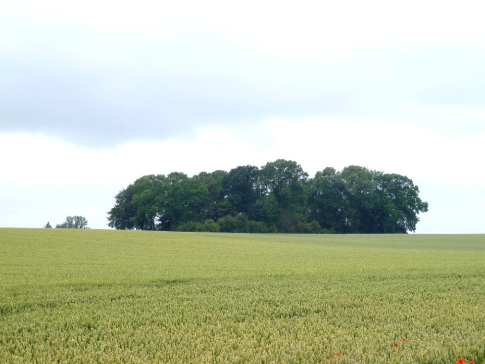 Faimes-Tumulus van Saives (3)