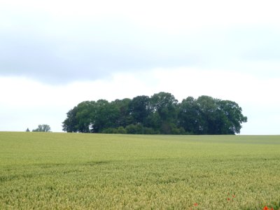 Faimes-Tumulus van Saives (3)