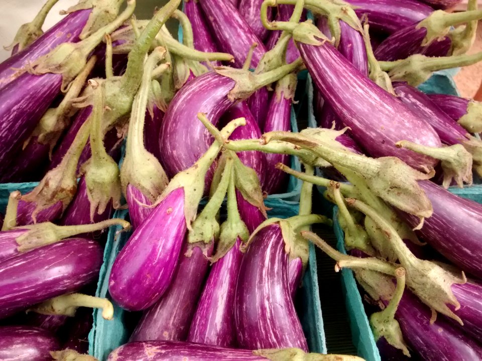 Fairy Tale Eggplant