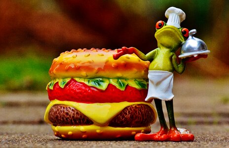 Frog funny food