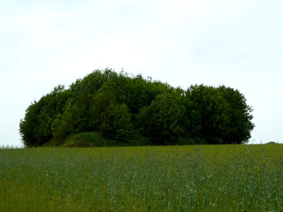 Faimes-Tumulus van Aineffe (2)