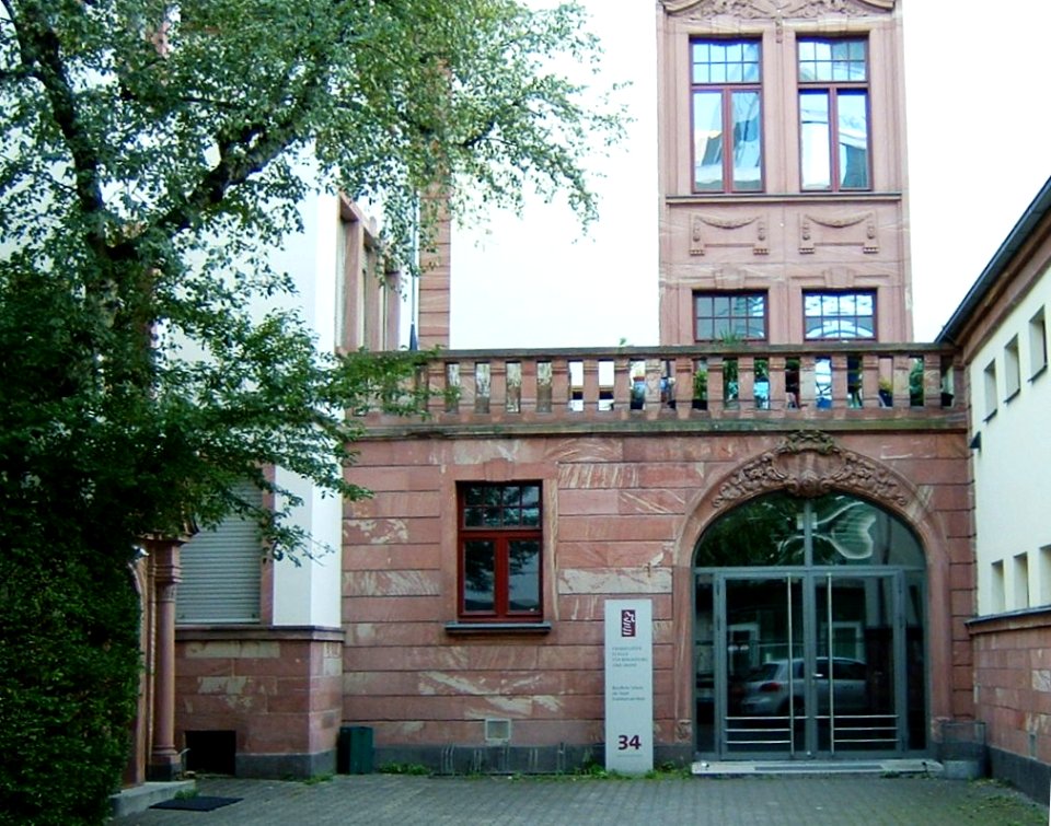 Fachschule ffm mode 019