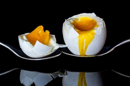 Yolk egg yolk protein