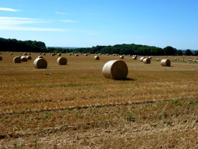 Faissault (Ardennes) paysage