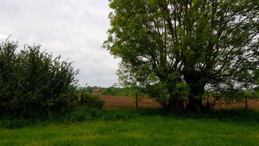 Epen-Sippenaeken-Grenspaal 10a (BE-NL) (1)
