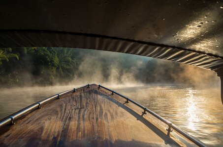 Fog morning jungle