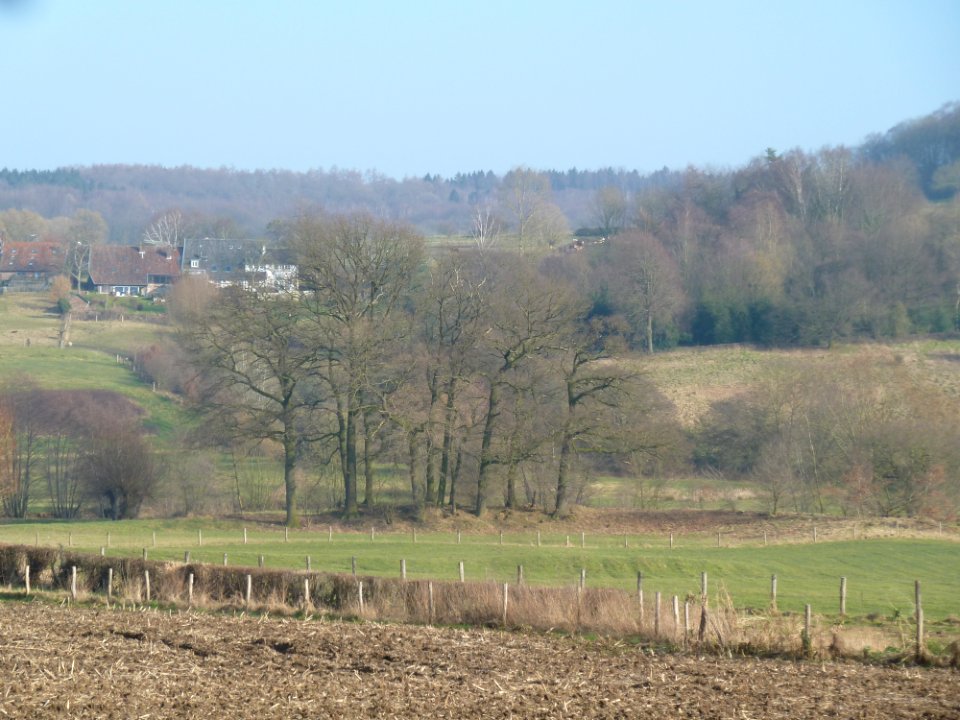 Epen-Motte Epen (17)