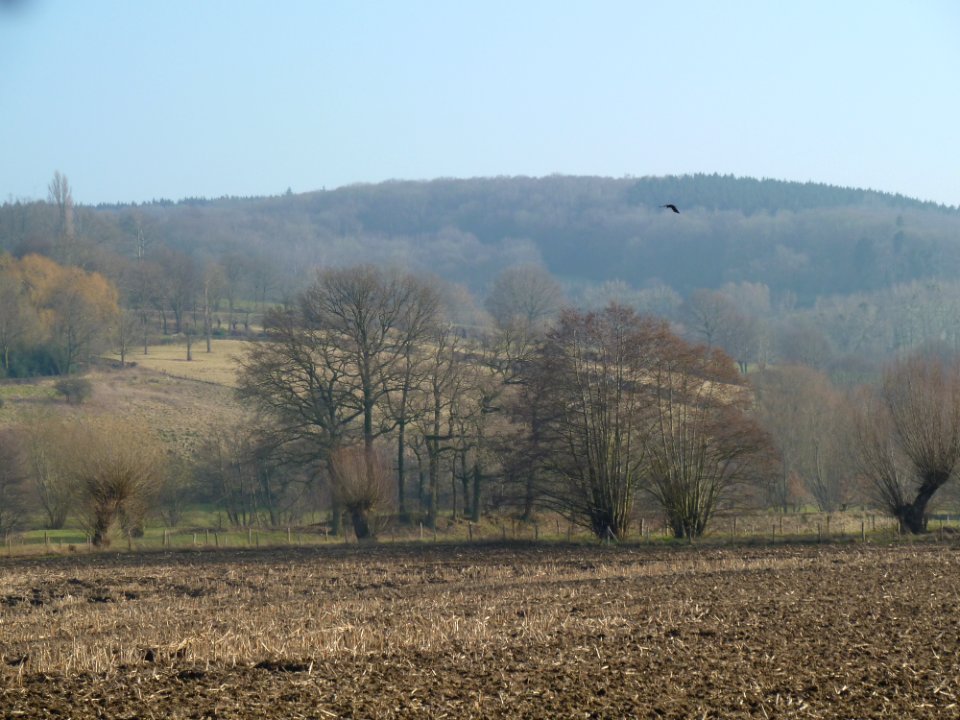Epen-Motte Epen (16)