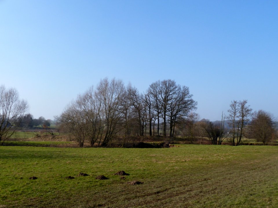 Epen-Motte Epen (12)