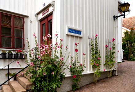 Entrance at Gamla Strandgatan 48, Gamlestan, Lysekil