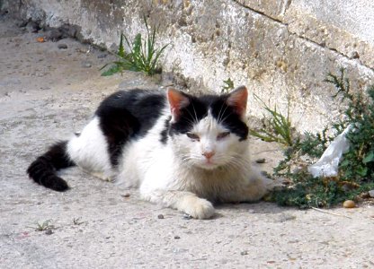 Epila 2012 4