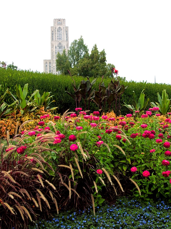 Entrance garden, Phipps Conservatory, 2015-10-13, 01