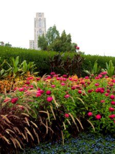 Entrance garden, Phipps Conservatory, 2015-10-13, 01