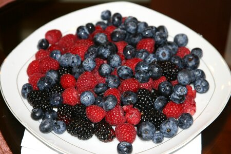 Blueberry breakfast food photo