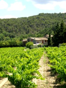Entrechaux Granges brûlées 4