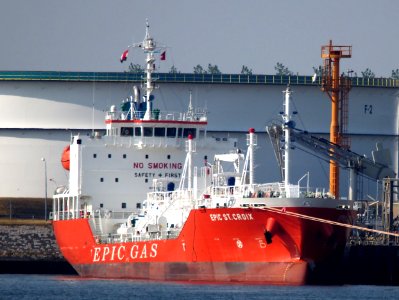 Epic St. Croix - IMO 9697507, Port of Rotterdam pic1