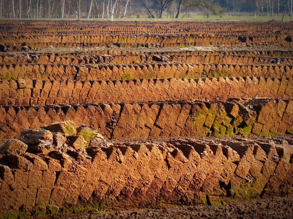 Peat potting soil Free photos